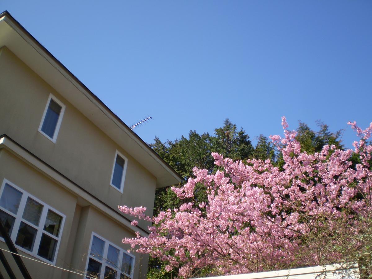 Hanaikada Ito (Shizuoka) Ngoại thất bức ảnh