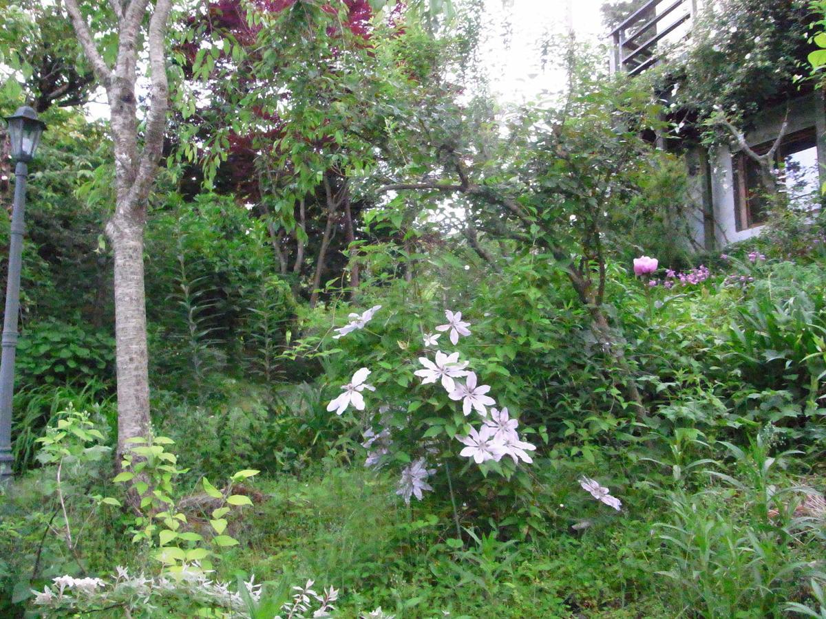 Hanaikada Ito (Shizuoka) Ngoại thất bức ảnh