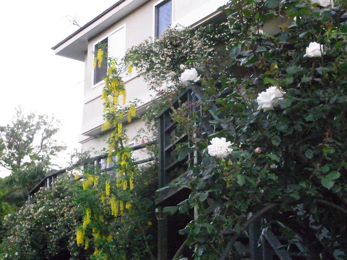 Hanaikada Ito (Shizuoka) Ngoại thất bức ảnh